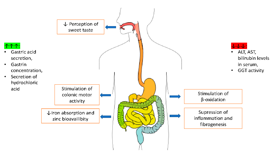 The scheme of the main effects of caffeine on gastrointestinal syestem.png